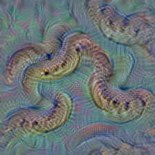 n01753488 horned viper, cerastes, sand viper, horned asp, Cerastes cornutus